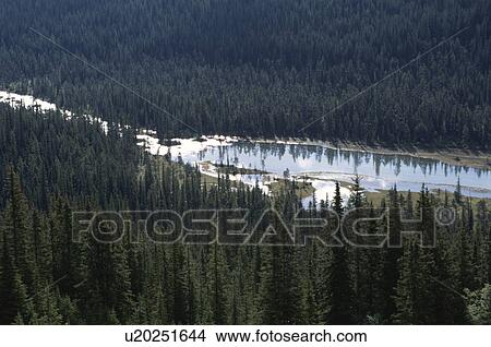 Canadian Rockies View Large Photo Image Picture - Canadian Rockies. Fotosearch