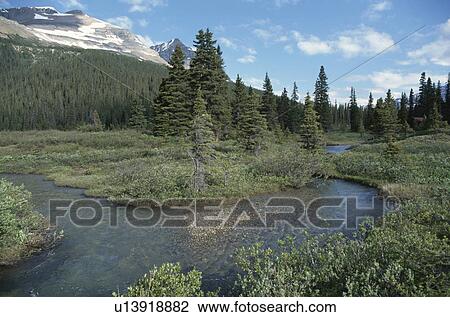 Stock Image - Canadian Rockies. Fotosearch