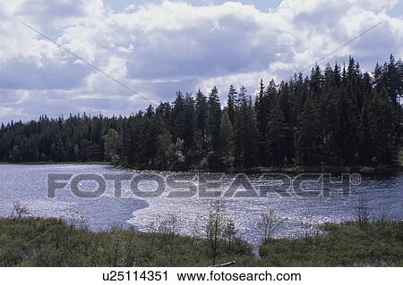 Stock Image - Canadian Rockies. Fotosearch