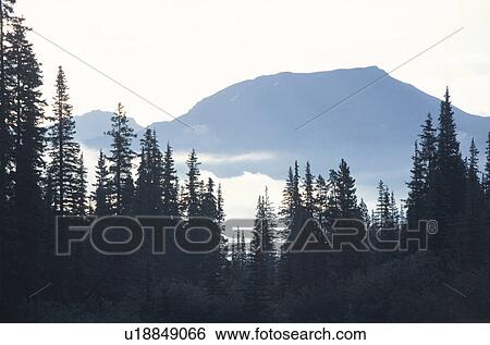 Stock Photograph - Canadian Rockies. Fotosearch