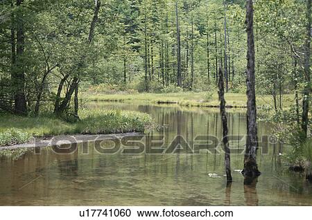 Stock Image - Pond Tashiro In Kamikochi. Fotosearch