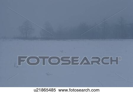 Stock Photography - Snowy Field Near Forest. Fotosearch