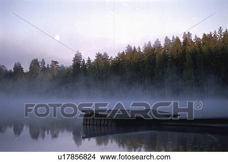 Picture - A Forest And A Lake. Fotosearch