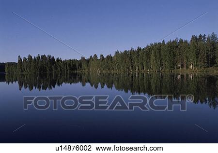 A Forest And A Lake View Large Photo Image Stock Image - A Forest And A Lake. Fotosearch