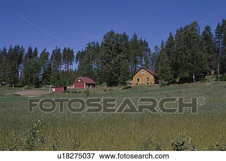 Stock Photo - A House And Forest In Finland. Fotosearch