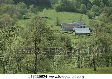 Picture - A House And Forest In Switzerland. Fotosearch