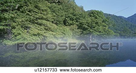 A Lake With The Haze View Large Photo Image Stock Image - A Lake With The Haze. Fotosearch
