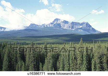 Stock Image - Canadian Rockies. Fotosearch