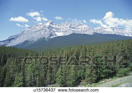 Stock Photo - Canadian Rockies. Fotosearch