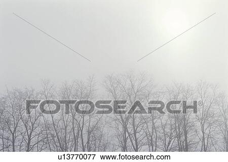 Foggy Landscape View Large Photo Image Stock Photo - Foggy Landscape. Fotosearch