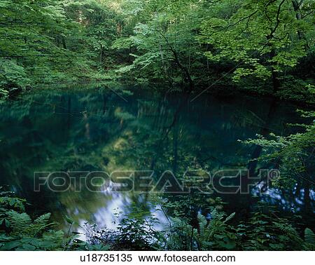 Stock Photography - Forest Pool. Fotosearch