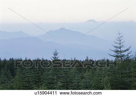 Stock Image - Mt. Fuji. Fotosearch