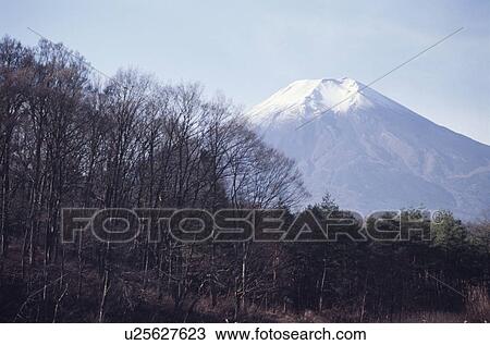 Stock Image - Mt. Fuji. Fotosearch
