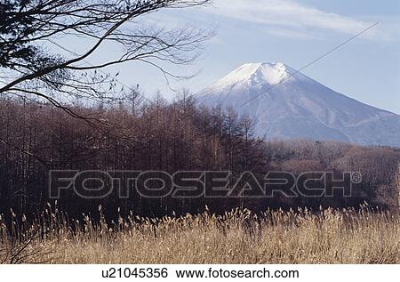 Stock Photograph - Mt. Fuji. Fotosearch