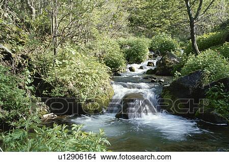 Oirase River View Large Photo Image Picture - Oirase River. Fotosearch