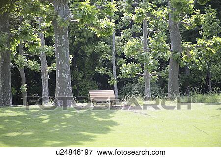 Stock Photo - The Bench In A Park. Fotosearch