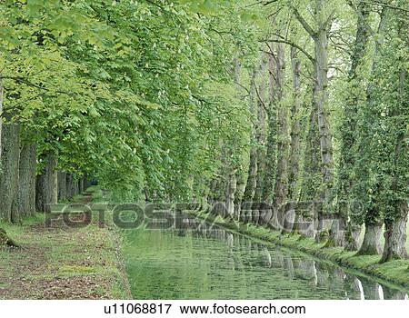 Trees Near Water View Large Photo Image Stock Photo - Trees Near Water. Fotosearch