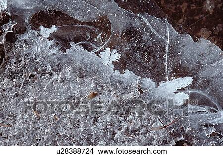 Picture - Ice Sheet. Fotosearch