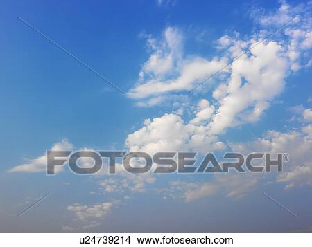 Skyscape of blue sky and white fluffy clouds View Large Photo Image Picture - Skyscape of blue sky and white fluffy clouds. Fotosearch