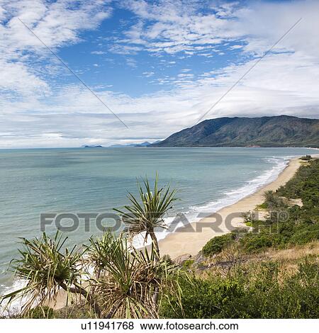Stock Photo - Scenic coastal view from Queensland Rex Lookout with mountains in background and grassy vegetation in foreground.. Fotosearch