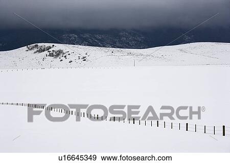 Stock Photo - Snow covered field with barbed wire fence in rural mountainous Colorado. Fotosearch