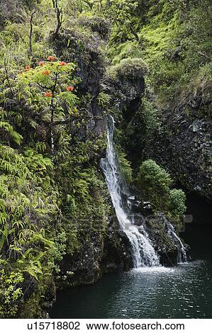 Stock Image - Waterfall surrounded by lush green vegetation in Maui, Hawaii. Fotosearch