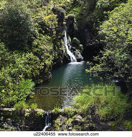 Stock Photography - Waterfall surrounded by lush green vegetation in Maui, Hawaii.. Fotosearch