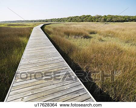Picture - Wooden boardwalk stretching over marsh at Bald Head Island, North Carolina. Fotosearch