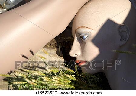 Face and leg of broken mannequin on ground. View Large Photo Image Stock Image - Face and leg of broken mannequin on ground.. Fotosearch