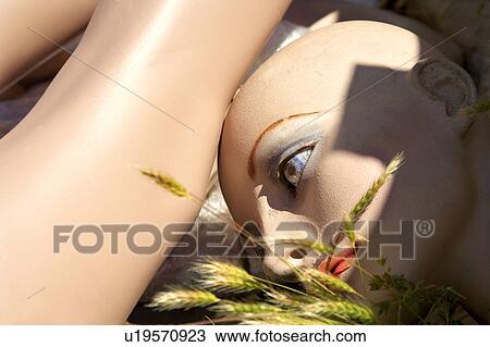 Stock Image - Face of broken mannequin on ground.. Fotosearch
