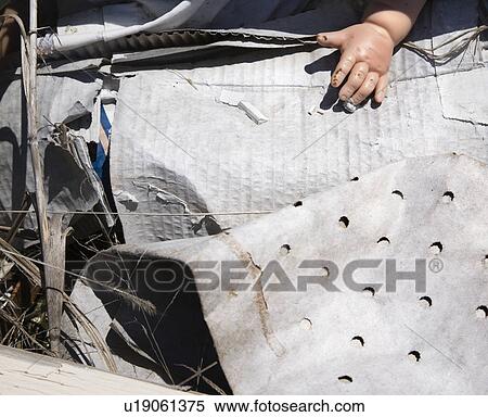 Stock Photography - Old baby doll hand sticking out of garbage at landfill.. Fotosearch