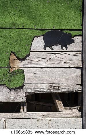 Stock Photography - Wooden siding with green turf and pig drawing.. Fotosearch