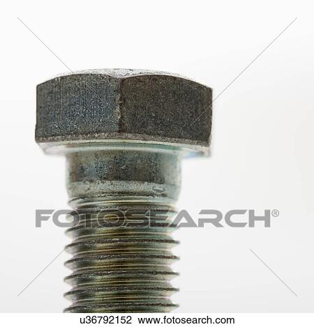 Close up of bolt screw on white background View Large Photo Image Stock Image - Close up of bolt screw on white background. Fotosearch