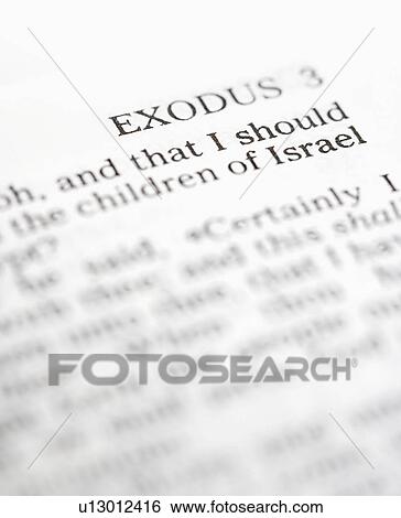 Selective focus of Exodus verses in open Holy Bible View Large Photo Image Stock Photograph - Selective focus of Exodus verses in open Holy Bible. Fotosearch
