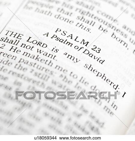 Picture - Selective focus of Psalm verses in open Holy Bible.. Fotosearch