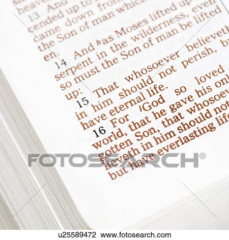 Stock Image - Selective focus of verses in open Holy Bible. Fotosearch