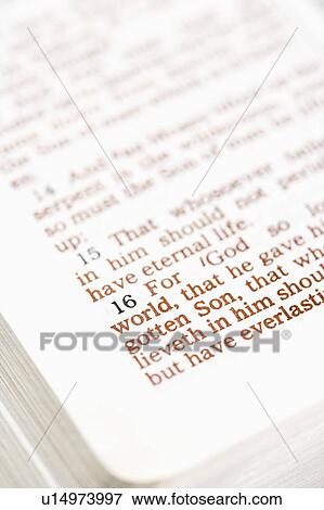 Selective focus of verses in open Holy Bible. View Large Photo Image Stock Photo - Selective focus of verses in open Holy Bible.. Fotosearch