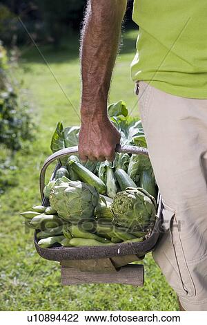 Stock Image - Close up of man holding vegetable basket. Fotosearch