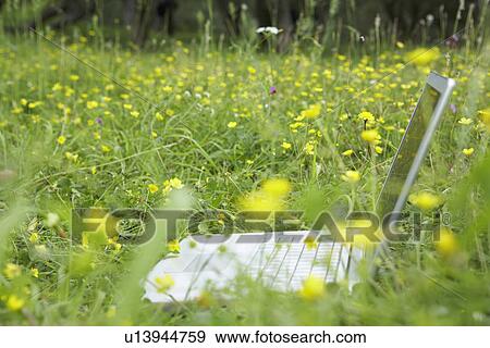 Stock Photo - Laptop in flower meadow.. Fotosearch