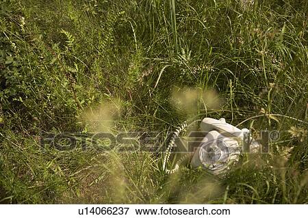 Stock Photo - Old telephone lying in long grass. Fotosearch