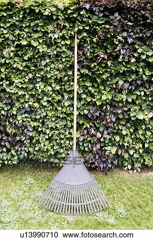 Rake by hedge View Large Photo Image Stock Image - Rake by hedge. Fotosearch