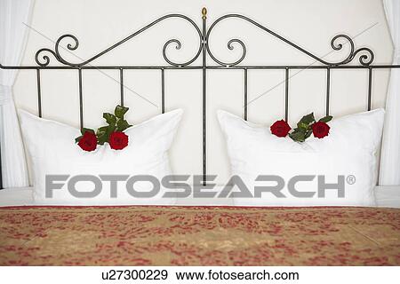 Stock Photo - two pillows decorated with roses on bed with metal headboard. Fotosearch