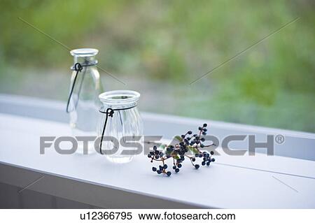 Stock Photography - Empty bottles by window. Fotosearch