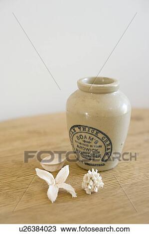 Jar and dried flower View Large Photo Image Stock Image - Jar and dried flower. Fotosearch