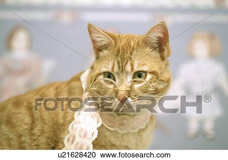 Stock Image - Cat. Fotosearch