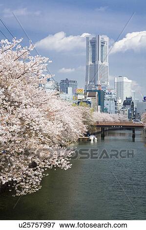 Stock Photo - Landmark Tower. Fotosearch