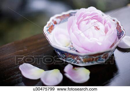 Stock Photo - Peony. Fotosearch