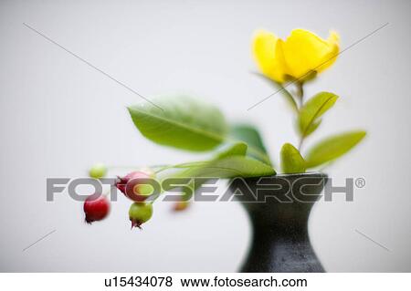 Flower arrangement View Large Photo Image Stock Photo - Flower arrangement. Fotosearch