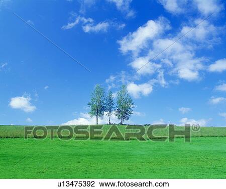 Stock Image - Blue sky. Fotosearch