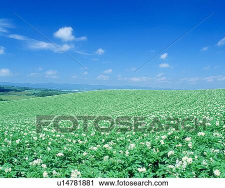 Blue sky View Large Photo Image Stock Image - Blue sky. Fotosearch